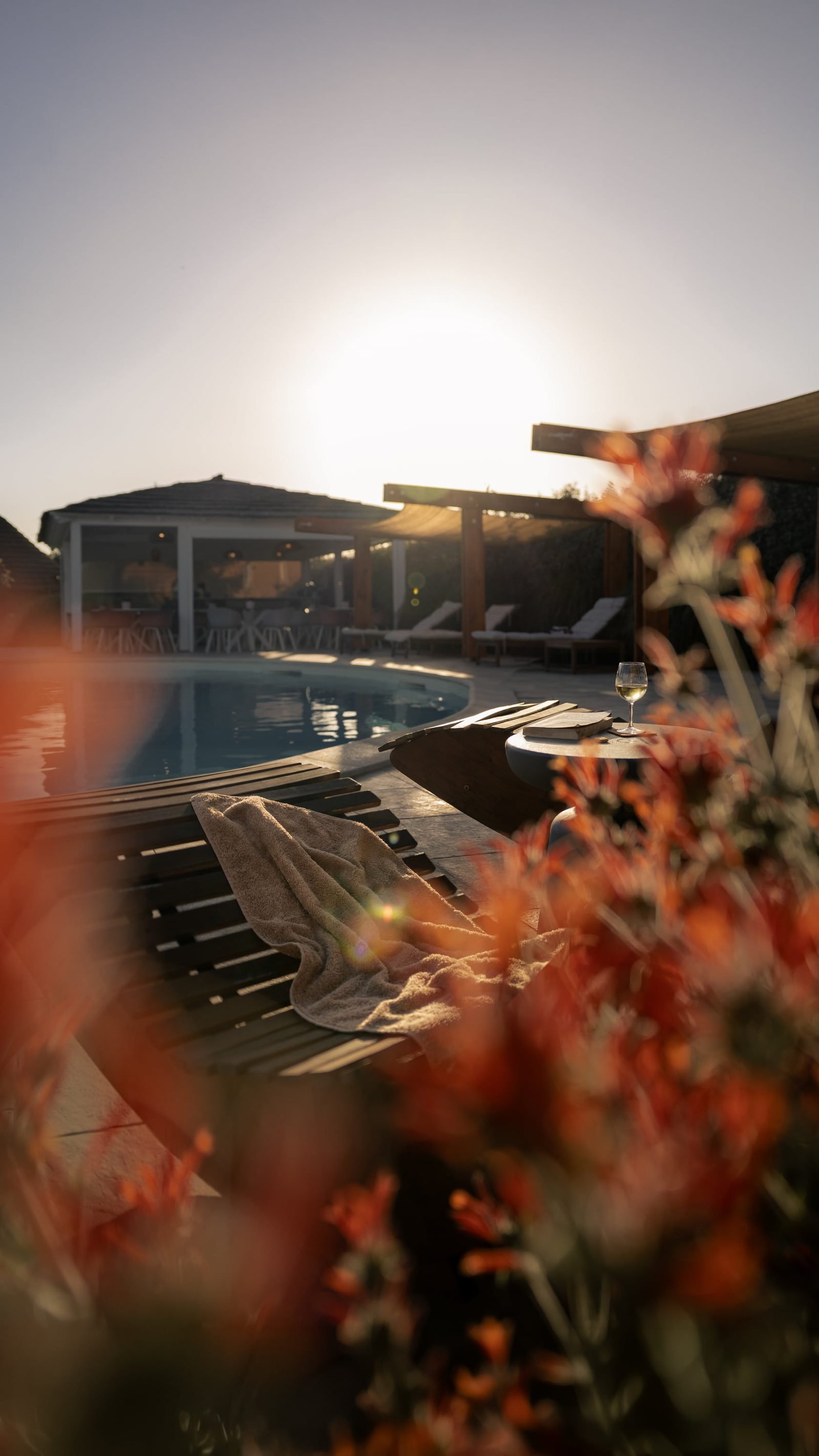 Pool im Sonnenuntergang, durch Blüten fotografiert